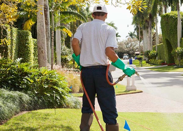 About Bainbridge PA Pest Control Pros